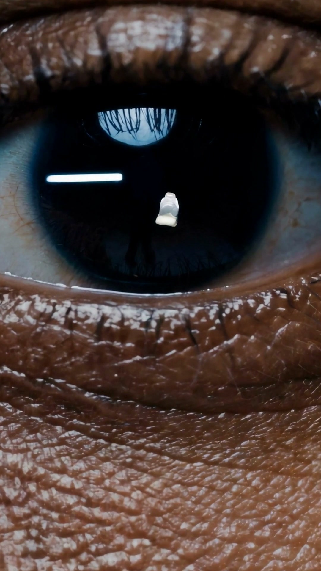 Extremes Augen-Close-up der POWER-Kampagne